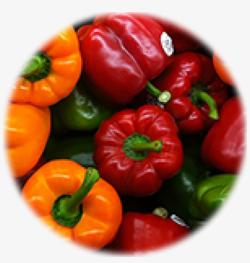 Perec 01 - Pepper Seeds Colorful Mix High Quality Sweet Bell Pepper, transparent png #6450633