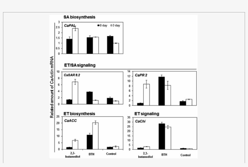 Induction Of Defense Genes In Pepper Roots After Exposure - Diagram, transparent png #6450696