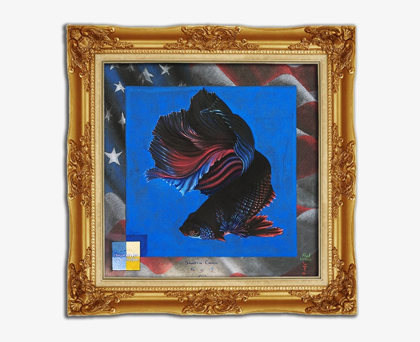 Patriot Betta - Picture Frame, transparent png #6451952