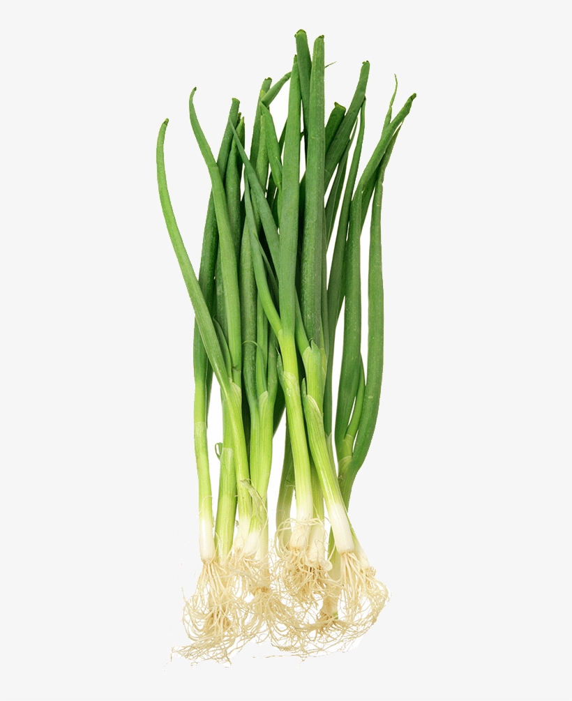 Spring Onion - Scallion, transparent png #6455311