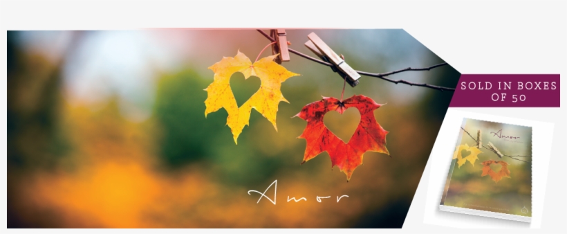 Amor - Dil Ke Zarokho Se (દિલકે ઝરોખોં સે), transparent png #6455674