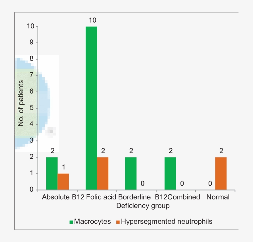 The Distribution Of Macrophages And Hypersegmented - Diagram, transparent png #6456175