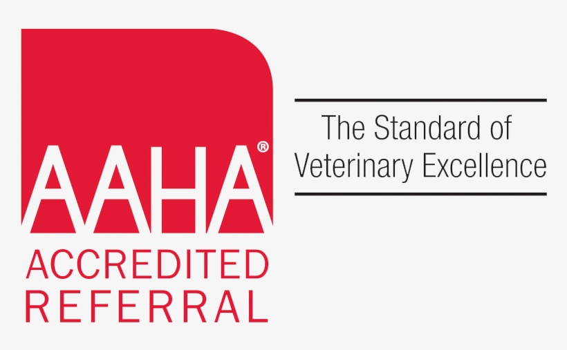 Next - Vet American Animal Hospital Association, transparent png #6457060