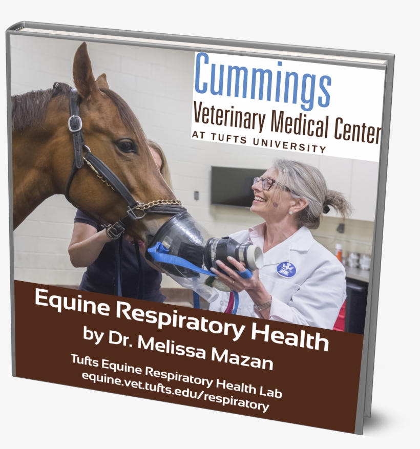 Download Equine Respiratory Health E-book By Dr - Book, transparent png #6457115