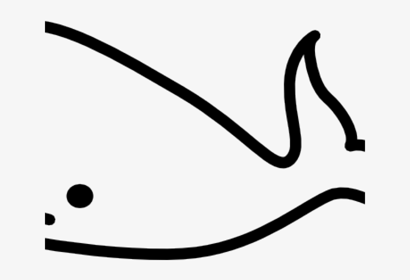 Whale Clip Art, transparent png #6462213