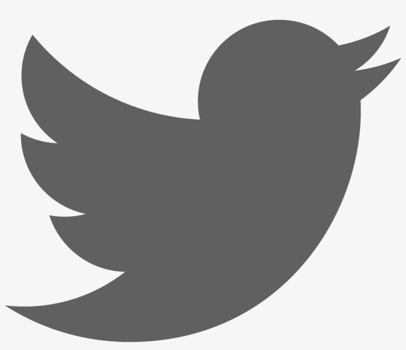 Twitter Logo - Twitter Red Logo Png, transparent png #6462257