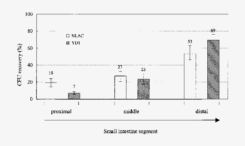 Recovery Of Nlac And Yd1 In Segments Of The Small Intestines - Diagram, transparent png #6462376