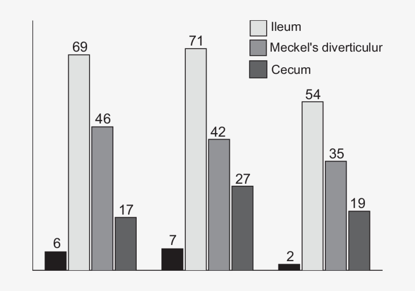 Percentage Of Birds That Had Pathology In The Following - Diagram, transparent png #6462493