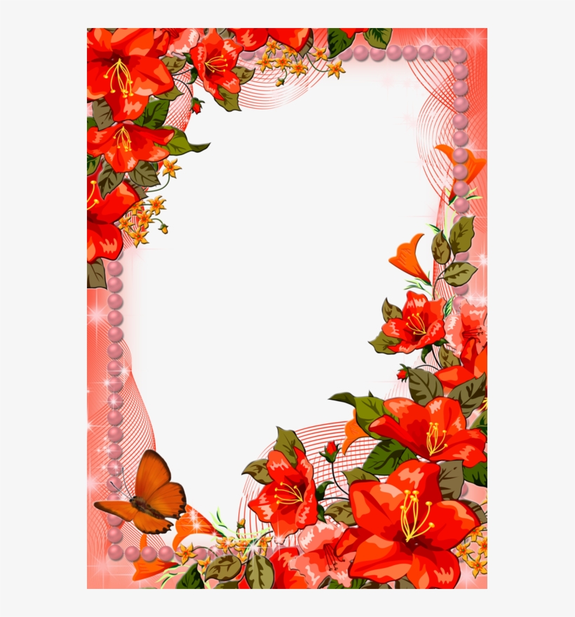 Borders For Paper, Flower Frame, Boarders, Macro Photography, - Autocollants Muraux Me147 Première Vue, L'amour Des, transparent png #6465991