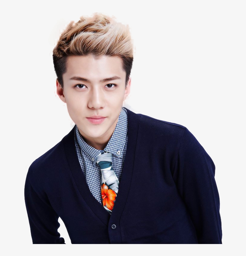 Hanipppp - Sehun Got7, transparent png #6466174