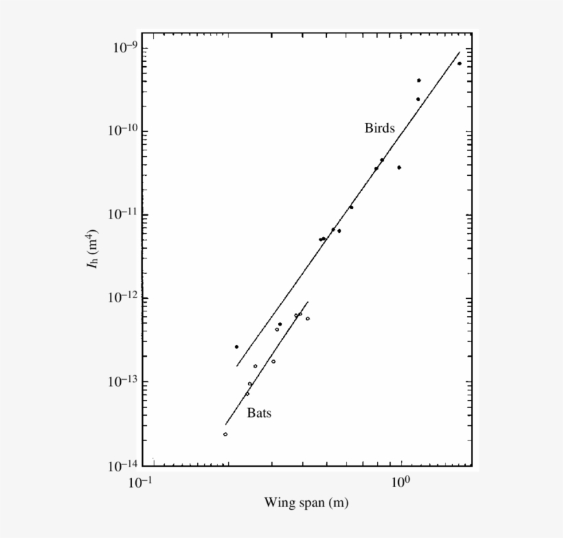 Second Moment Of Area Of The Proximal End Of The Humerus - Diagram, transparent png #6469741