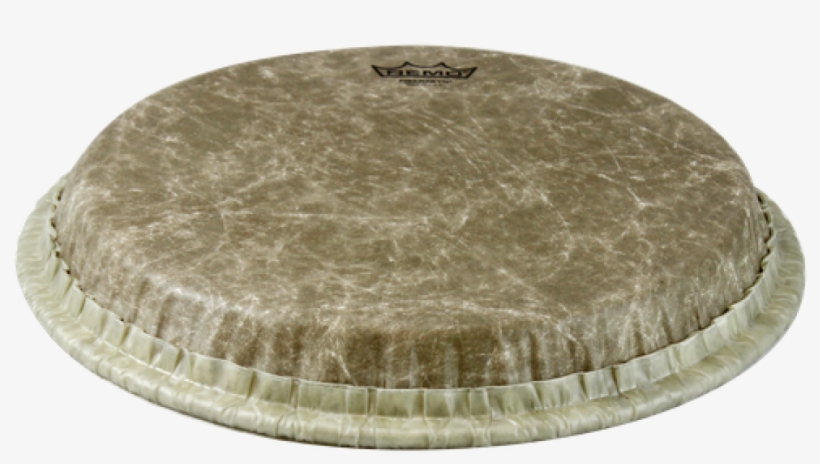 Remo 11 Fiberskyn Conga Head / Tucked, transparent png #6470511