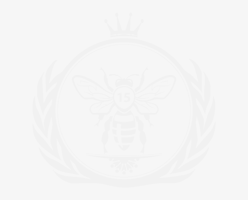 White Apiarian Genetics Logo Icon - Socialist Flag Of Ireland, transparent png #6470822