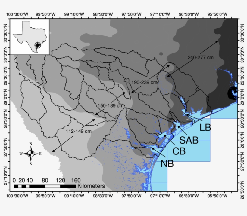 Download - Texas, transparent png #6473568