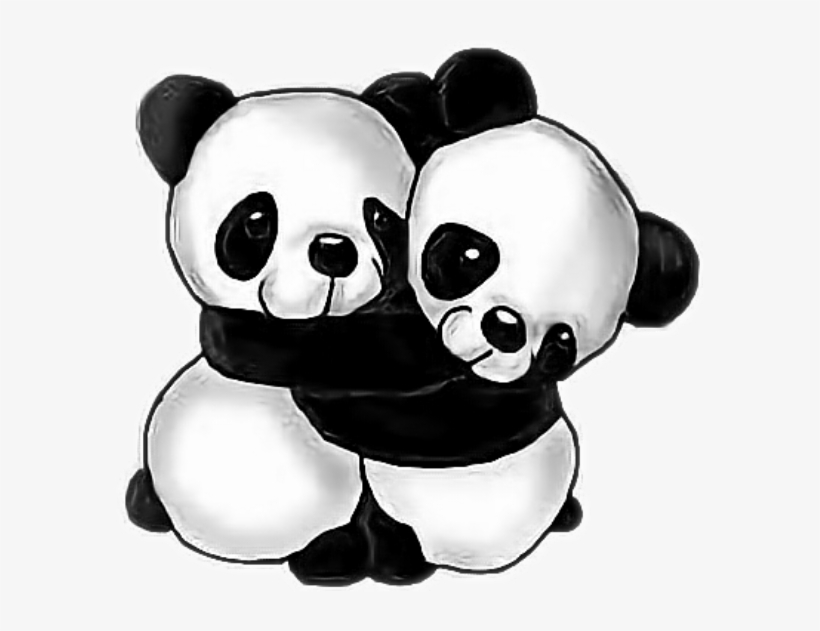 Panda Hugs Pandahug Friends Animals Wildanimals Blackan - Imagenes De Panditas, transparent png #6474093