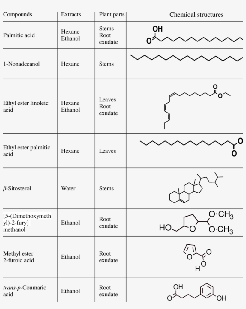 Compounds Detected From Different Parts Of Sweet Potato - Potato, transparent png #6474303