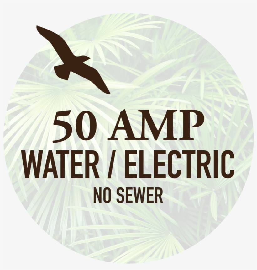 Electricity, transparent png #6477044