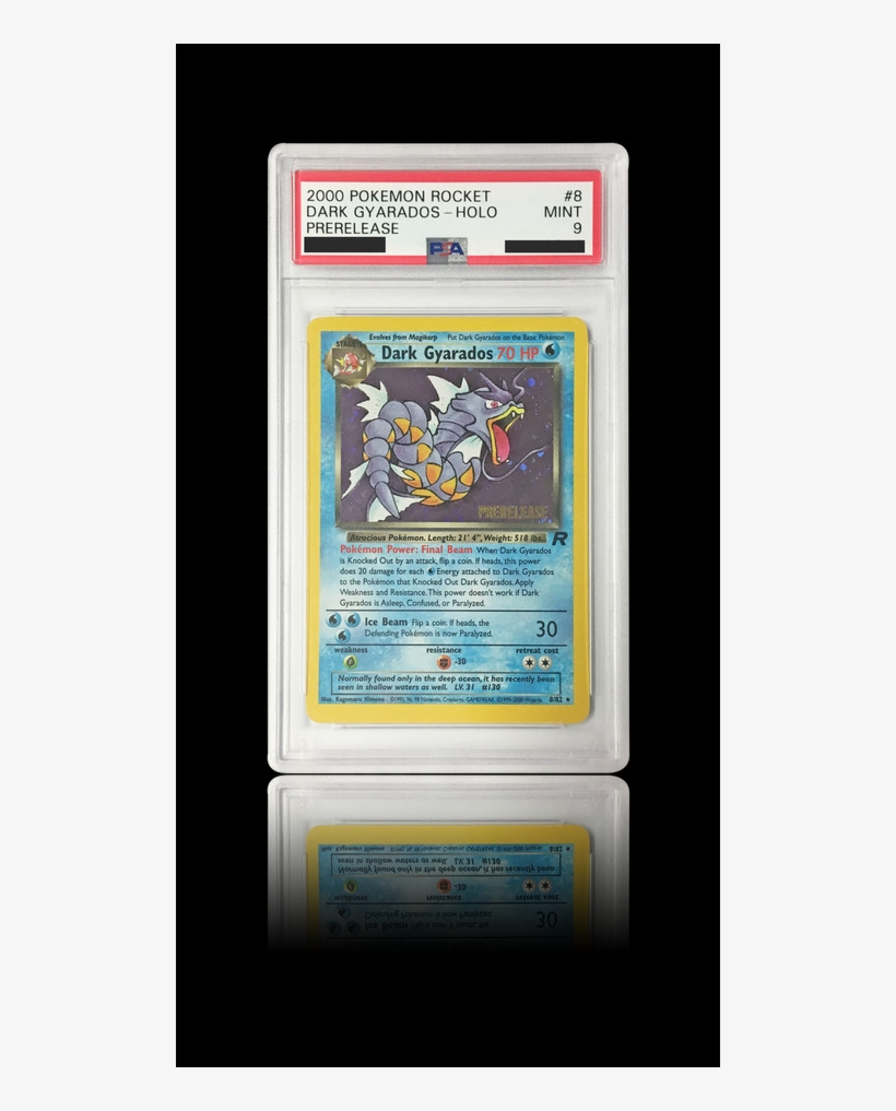 Psa 9 Prerelease Dark Gyarados - Wizards Of The Coast Pokemon Team Rocket Rare Holo, transparent png #6477164
