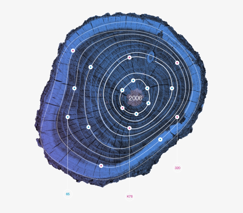 Request Demo - Analytics, transparent png #6478461