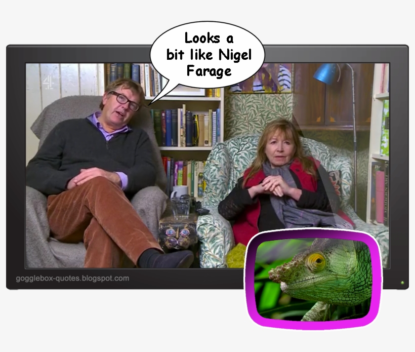 Hashtag On Twitter - Carolina Anole, transparent png #6480739