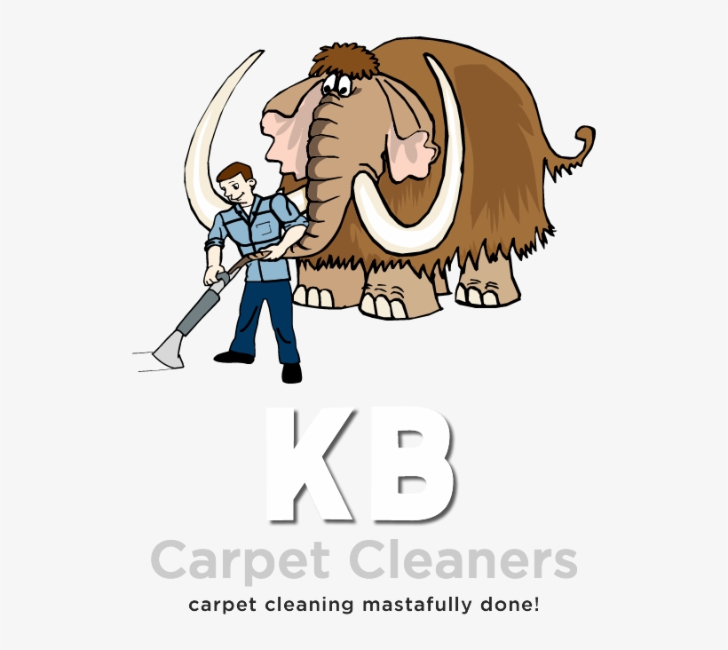 Carpet Cleaners, transparent png #6481402