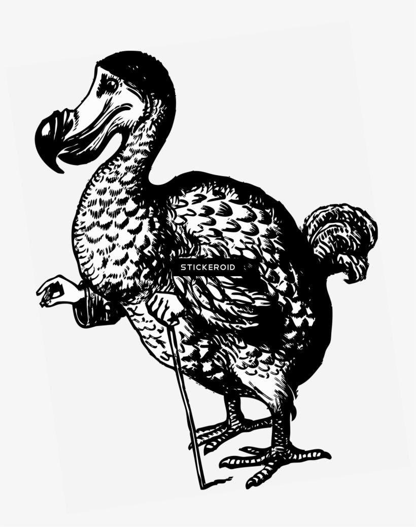 Dodo Alice - Alice's Adventures In Wonderland Dodo, transparent png #6482751