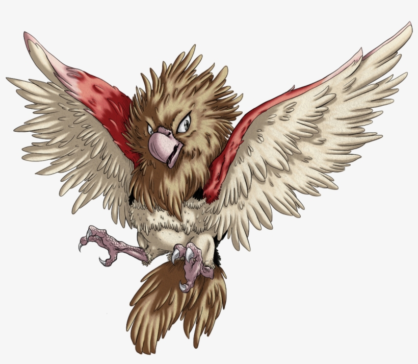 021 Spearow, transparent png #6483022