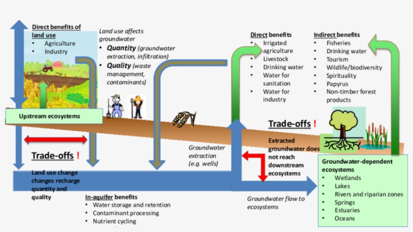 Conceptual Diagram Of The Multitude Of Ecosystem Services - Ecosystem, transparent png #6483396