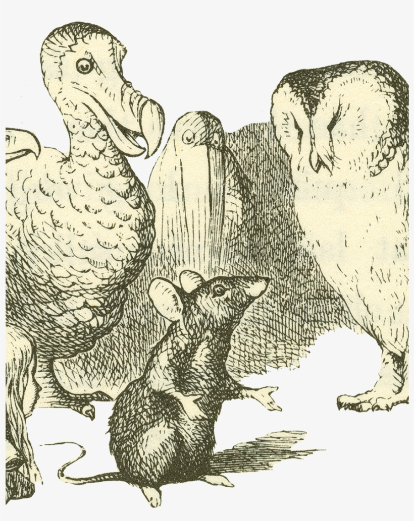 Spotlight On Wonderland - Alice, Maus Und Vögel Gepäckanhänger, transparent png #6483603