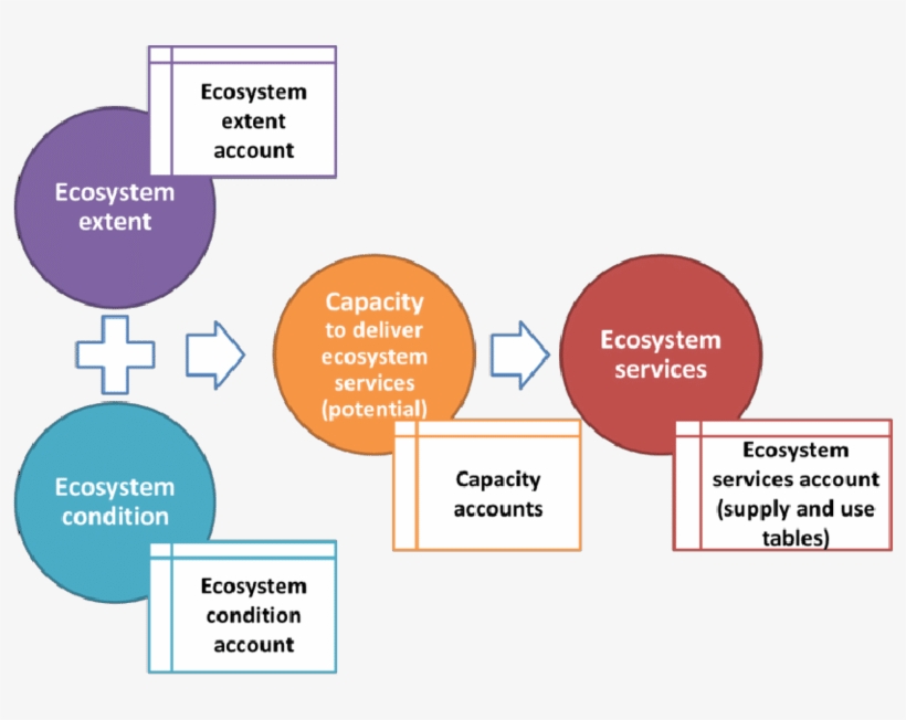 The Place Of Ecosystem Condition Accounts In A Natural - Define Capital Natural, transparent png #6483991