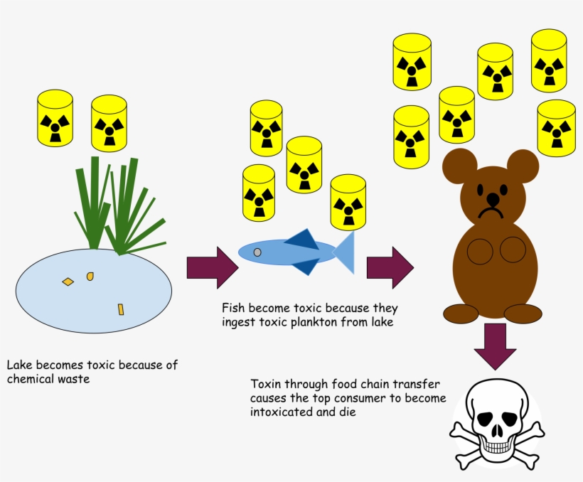 Open - Wear Your Seat Belt Throw Blanket, transparent png #6484496