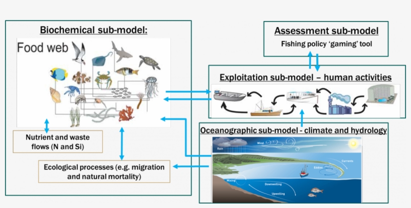 Data Integration Tool That Allows Users To Assess The - Atlantis Ecosystem Model, transparent png #6484609