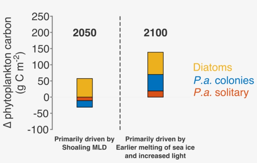 Modeled Climate Scenarios For The 21st Century Project - Diagram, transparent png #6484944