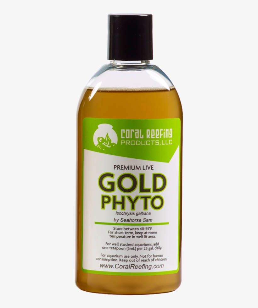 Home / Phytoplankton, transparent png #6485103