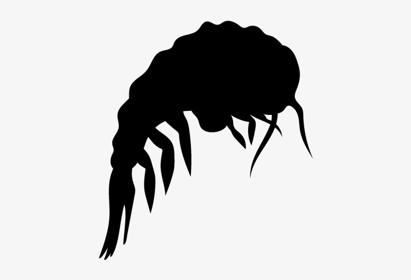 Unparalleled Quality - Plankton Silhouette, transparent png #6485248