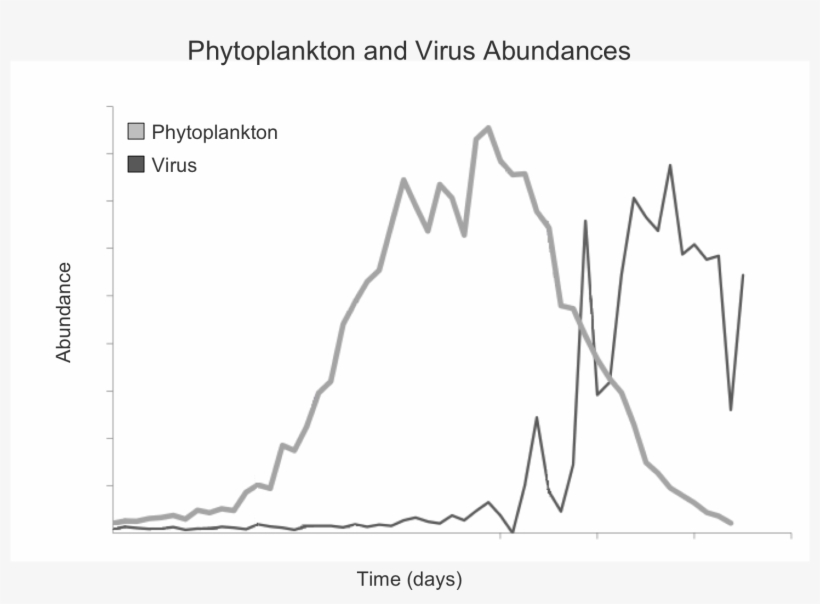 Phytoplankton And Virus Abundance - Diagram, transparent png #6485599