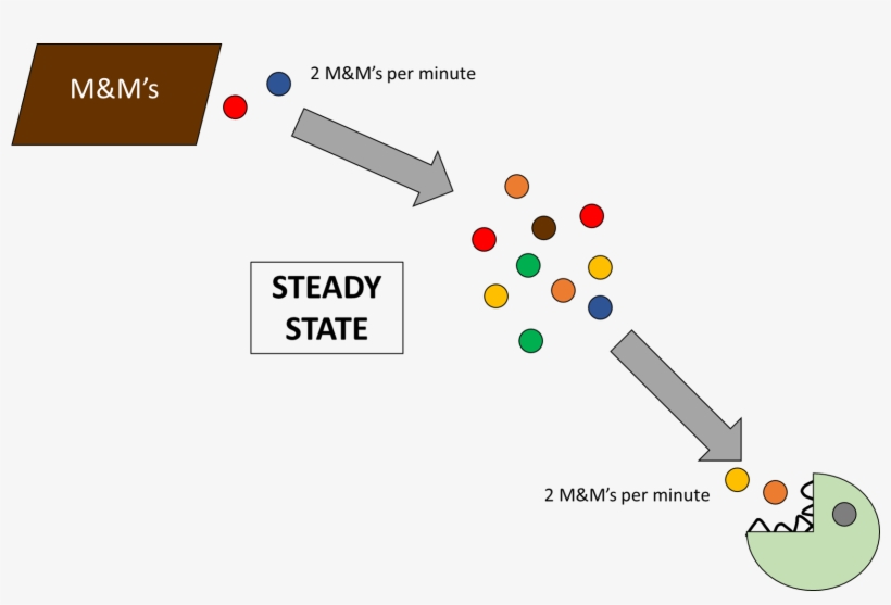 Move Over Corals, Phytoplankton Are Also Impacted By - Diagram, transparent png #6485749
