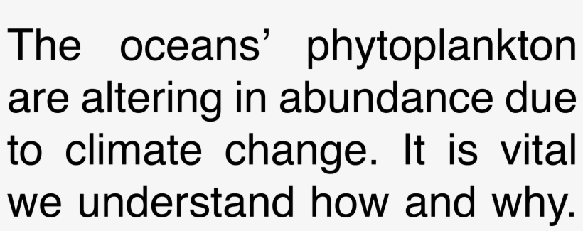 Phytoplankton Global Change - Studio, transparent png #6486511