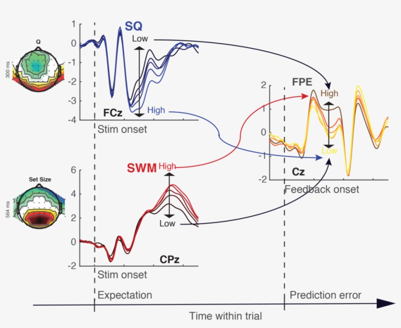 Rlwm Figure - Neural Computation, transparent png #6486742