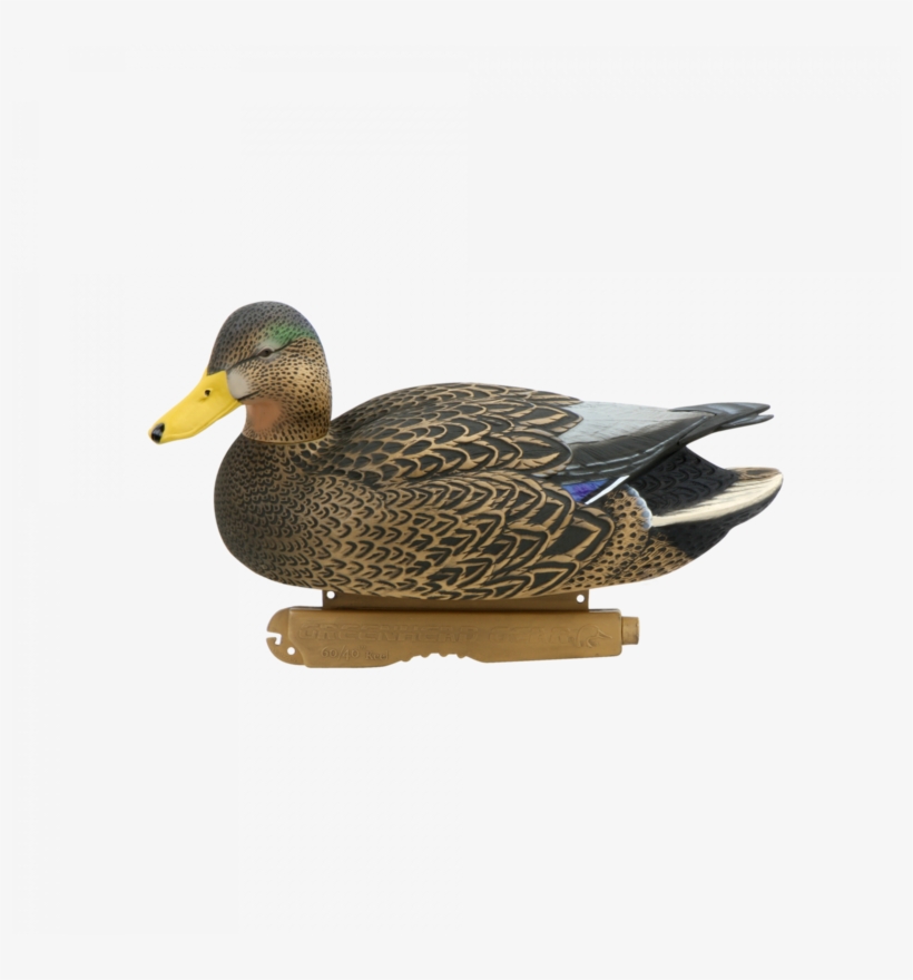 Mallard Png Image - Avery Ghg Hybrid Black Duck / Active Pack - 73166, transparent png #6486744