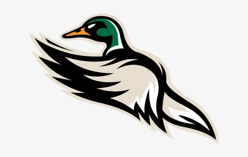 Download - Quad City Mallards Logo, transparent png #6486794