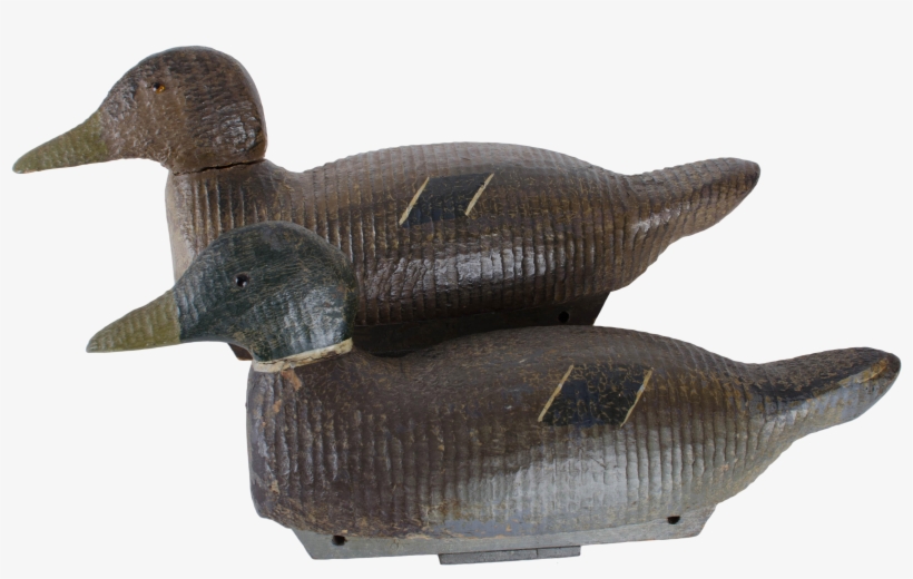 Mallard Drawing Vintage Duck Clip Transparent Download - Mallard, transparent png #6487091