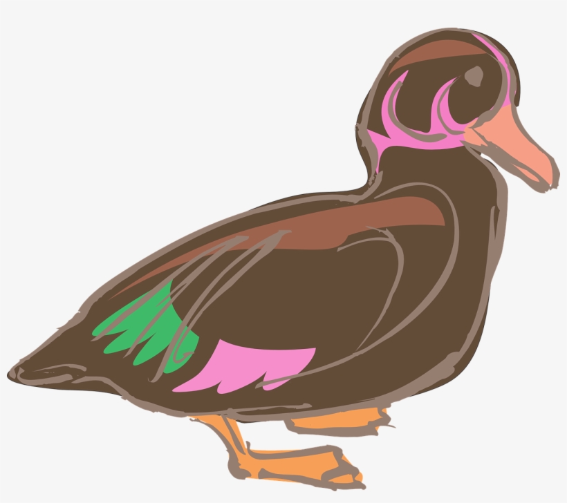 Duck Fowl Animal - Clip Art, transparent png #6487416