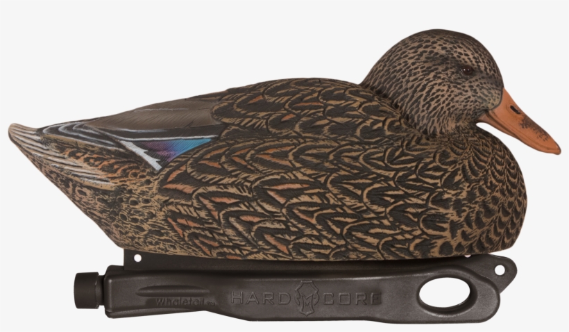 Rugged Magnum Mallard Hen Floater - Mallard, transparent png #6487590