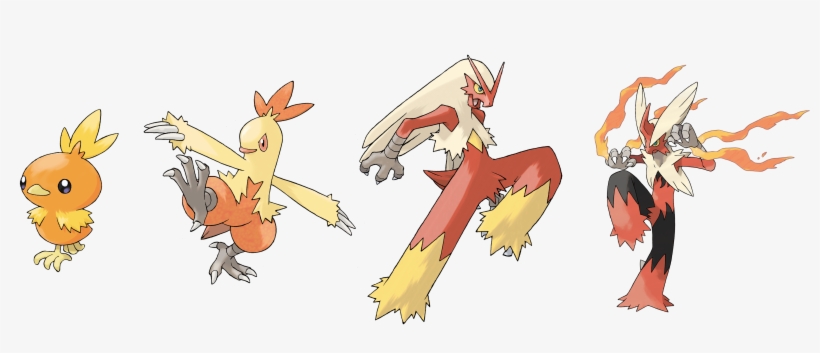Without A Doubt The Torchic Line - Pokemon Blaziken, transparent png #6488317