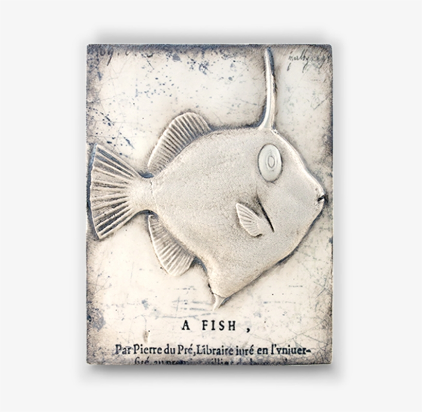 T-382 “curiosity” - Sea, transparent png #6490459