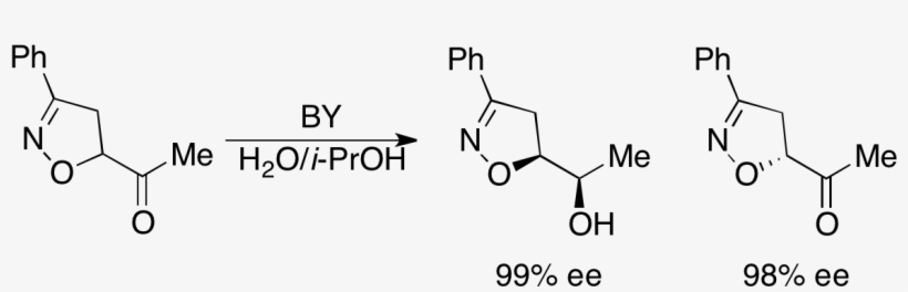 Bakers Yeast Kr Scheme - Diagram, transparent png #6491767