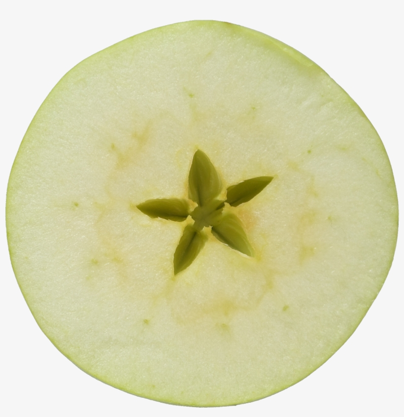 Flesh, transparent png #6494175