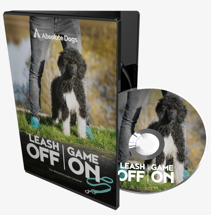 I Would Recommend Logo To Anyone Who Is Struggling, transparent png #6494279