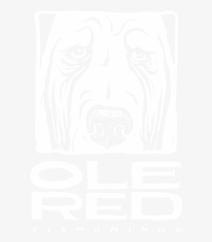 Blake Shelton Png, transparent png #6496556